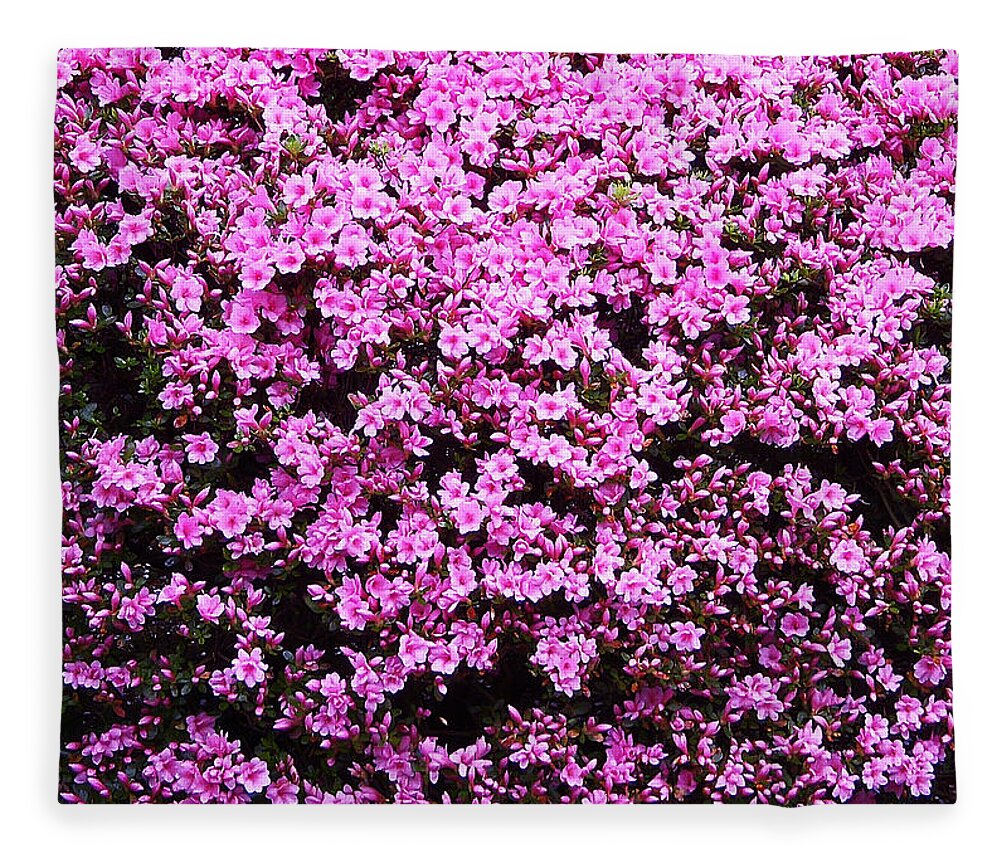 Spring Fleece Blanket featuring the photograph Pink as Pink Can Be by Aimee L Maher ALM GALLERY