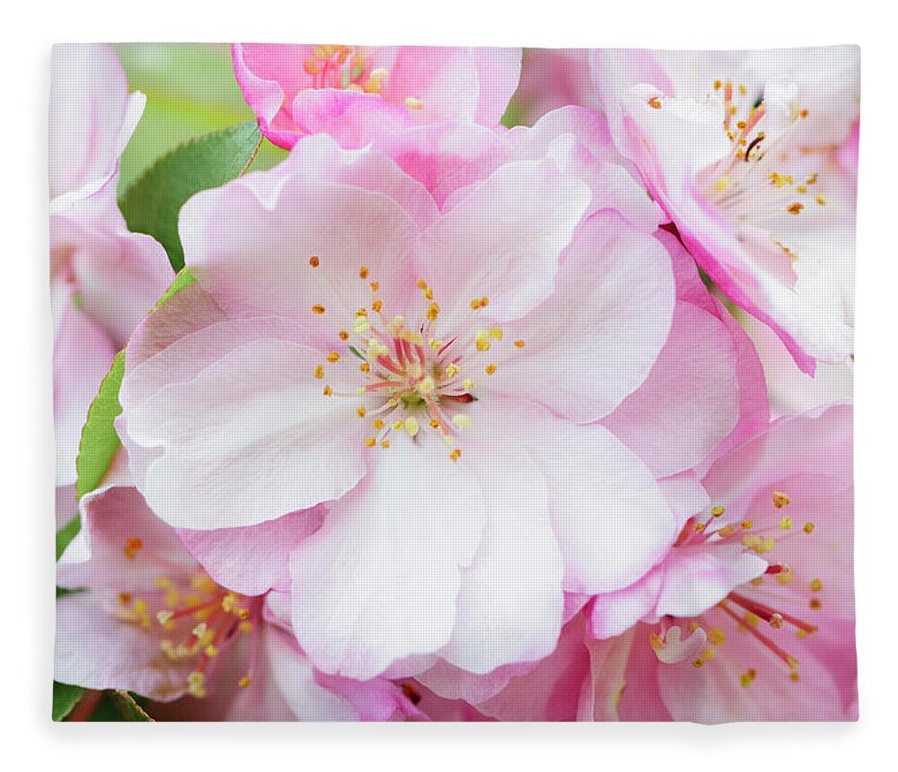 Season Fleece Blanket featuring the photograph Pink Cherry Blossoms by Ogphoto