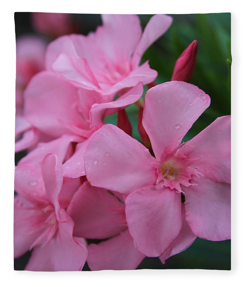 Oleander Fleece Blanket featuring the photograph Pink Oleander 6 by Cathy Lindsey