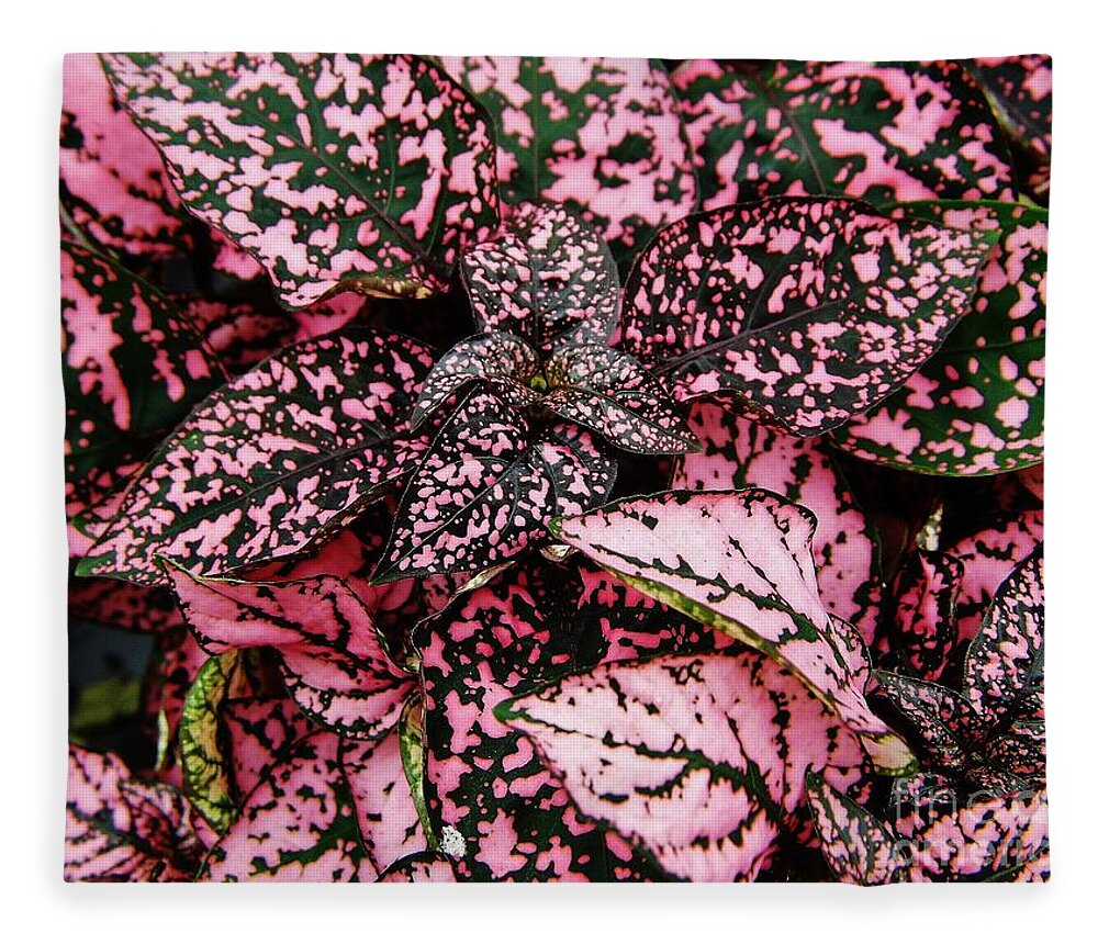 Polka Dot Fleece Blanket featuring the photograph Pink - Plant - Petals by D Hackett