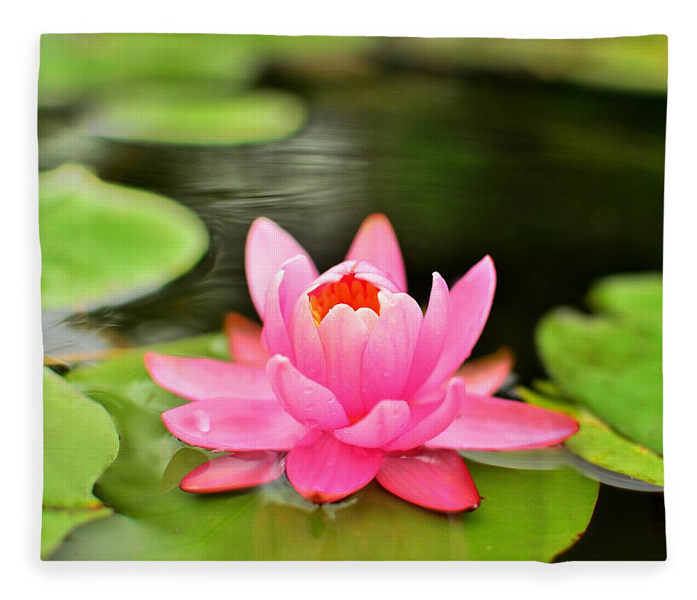 Water Lilly Fleece Blanket featuring the photograph Pink Water Lilly by Lisa Lambert-Shank