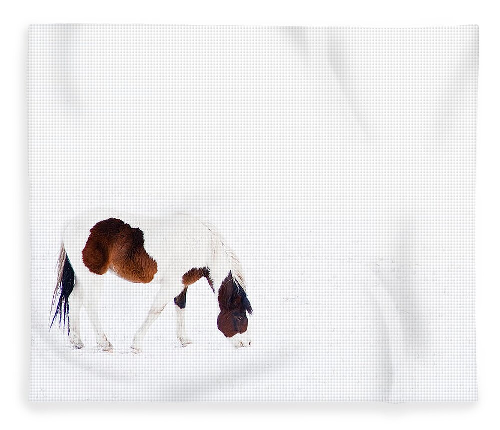 Small Horse Fleece Blanket featuring the photograph Pinto Pony by Theresa Tahara