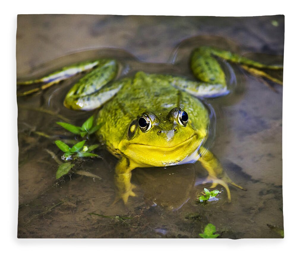 Green Frog Fleece Blanket featuring the photograph Chubby Green Frog by Christina Rollo