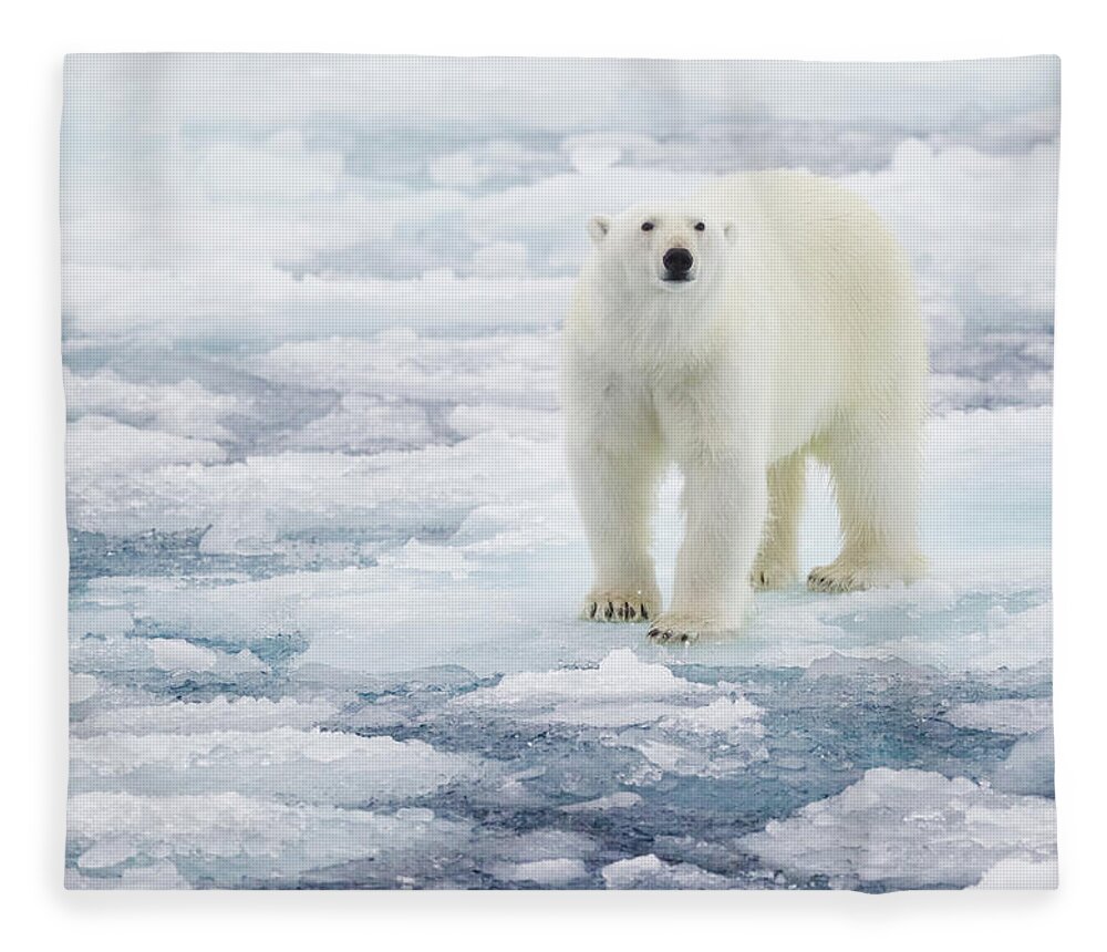 Vertebrate Fleece Blanket featuring the photograph Polar Bear by Kencanning