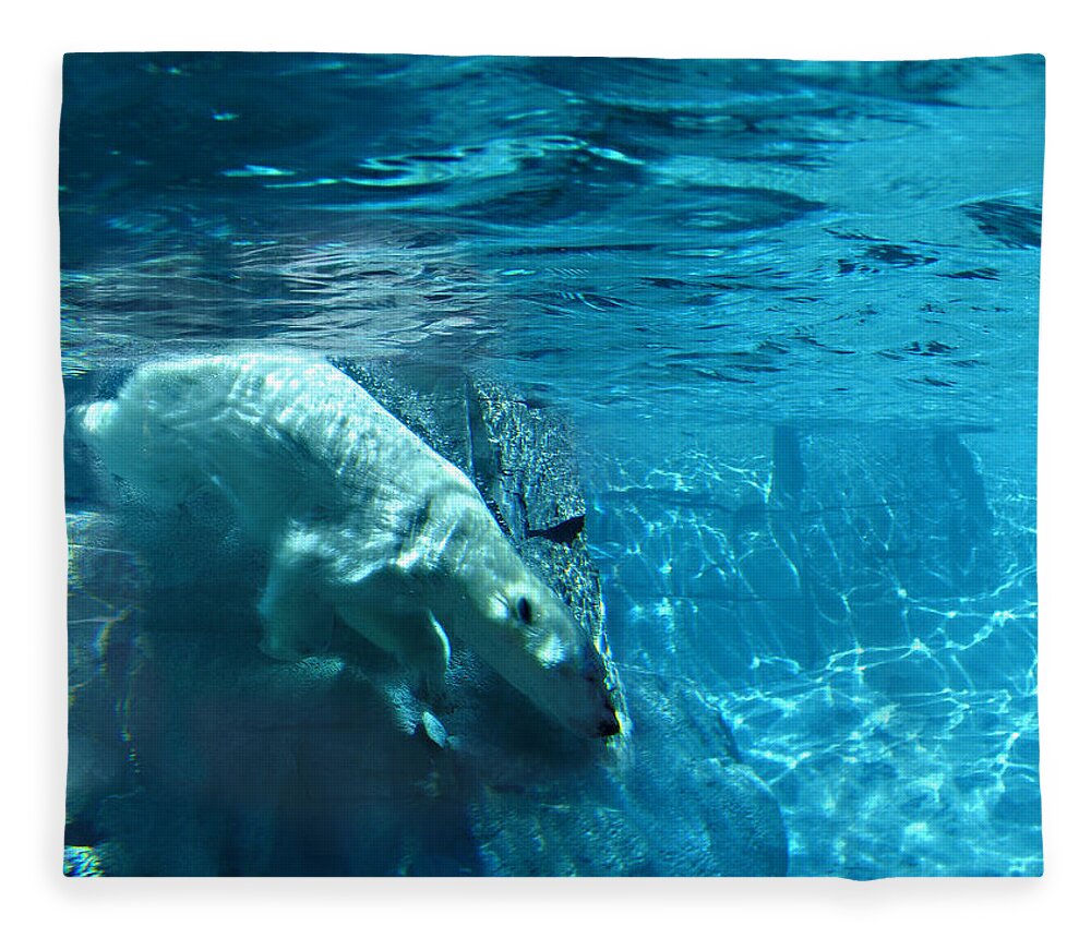 Wild Life Fleece Blanket featuring the photograph Polar Bear by Steve Karol