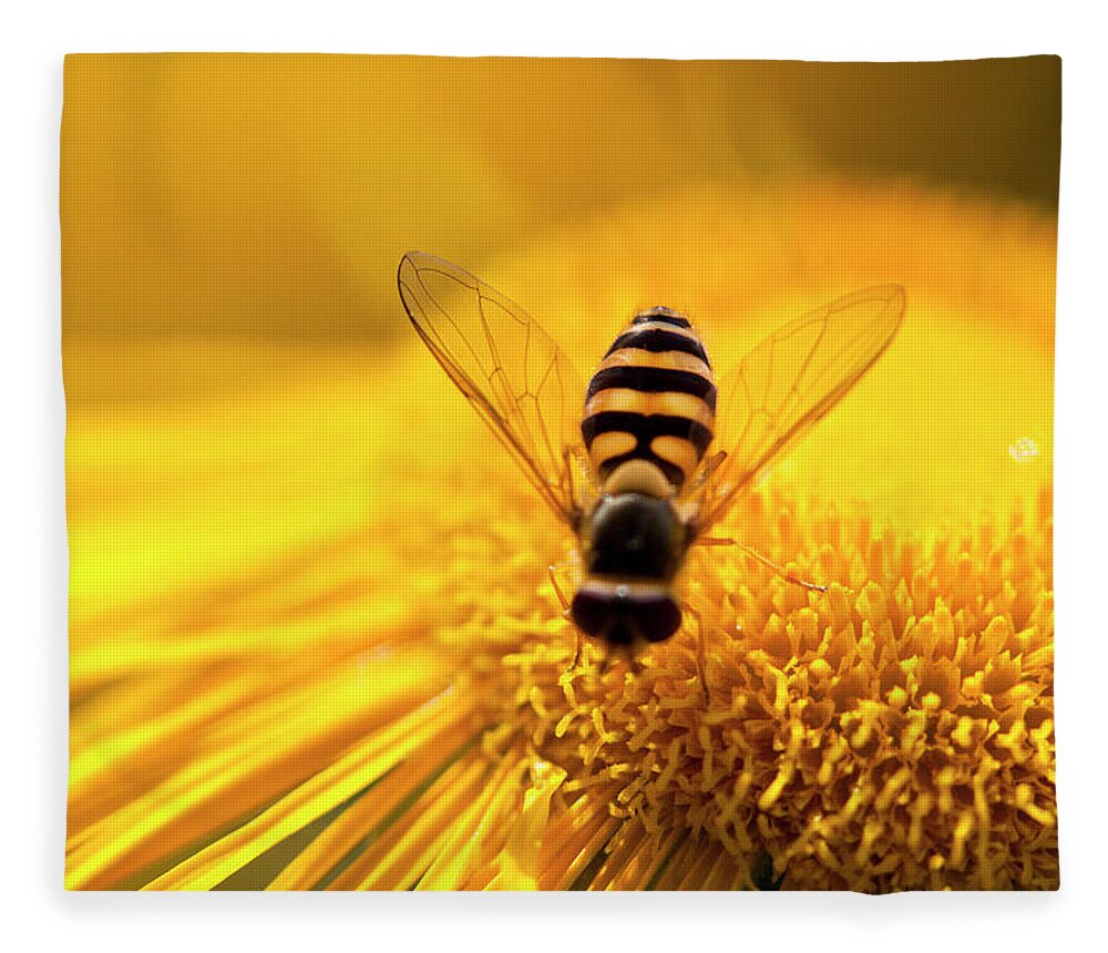 Insect Fleece Blanket featuring the photograph Pollination by Letty17