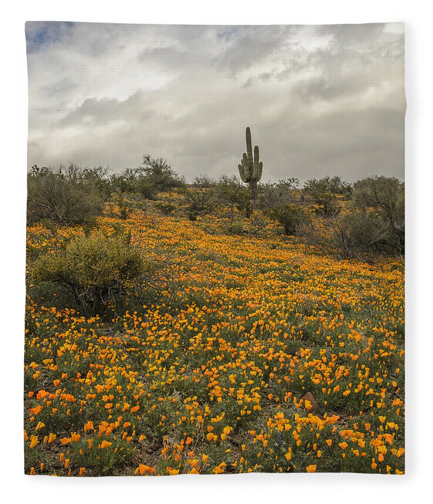 Poppies Fleece Blanket featuring the photograph Poppies at Peridot by Tamara Becker