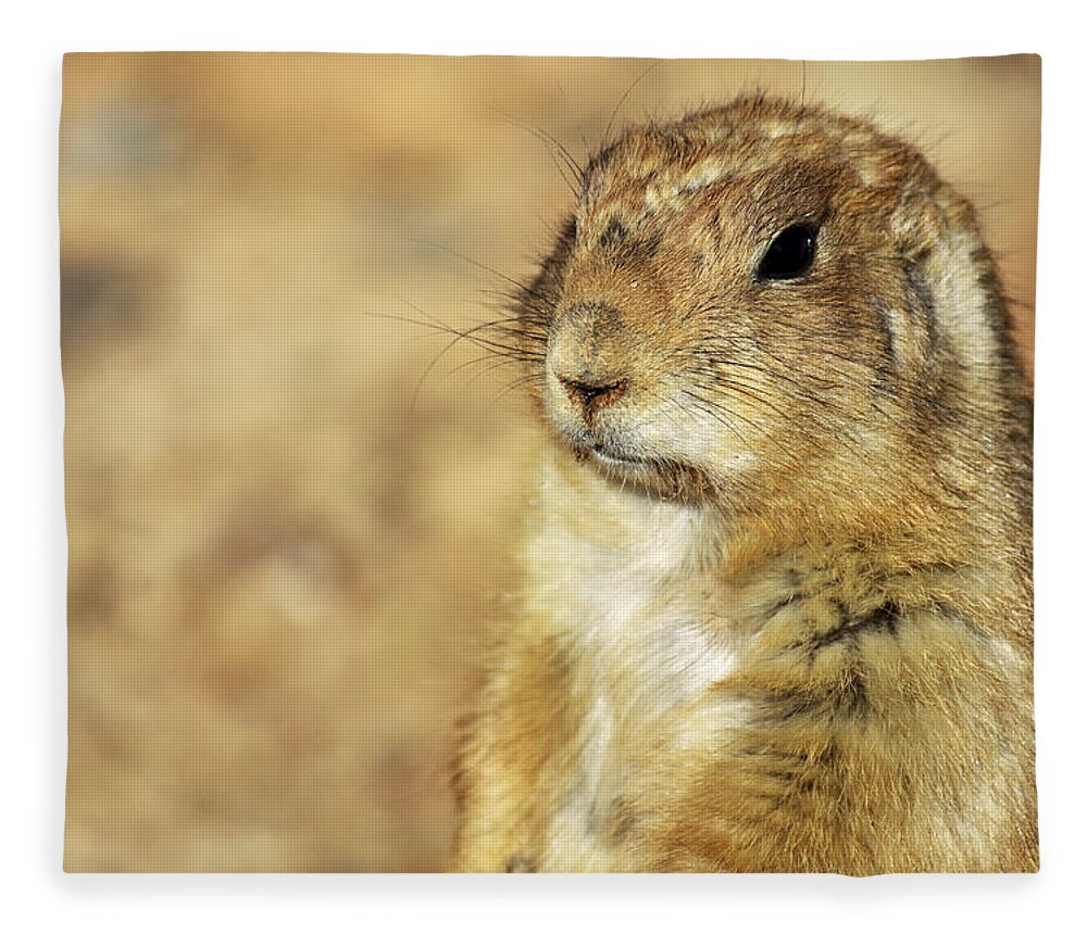 Prairie Dog Fleece Blanket featuring the photograph Portrait of a Prairie Dog by Jason Politte