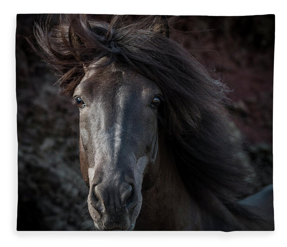 Wind Fleece Blanket featuring the photograph Portrait Of Icelandic Stallion, Iceland by Arctic-images