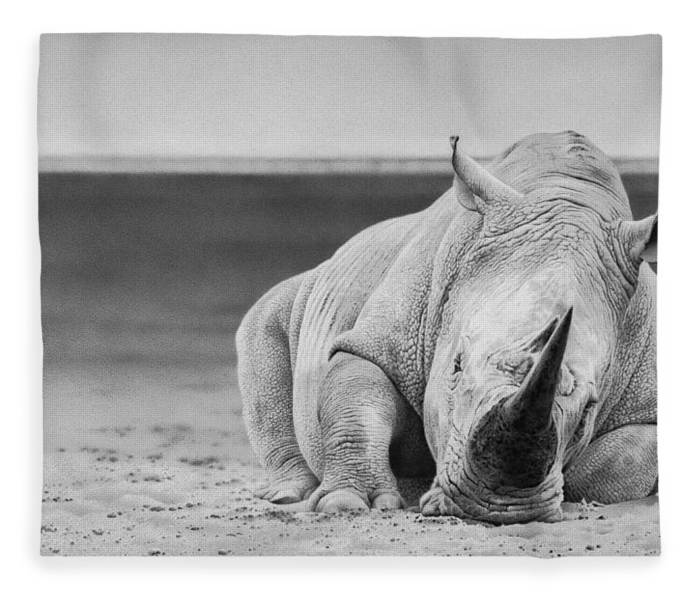 African Wildlife Fleece Blanket featuring the drawing Power Nap by Stirring Images