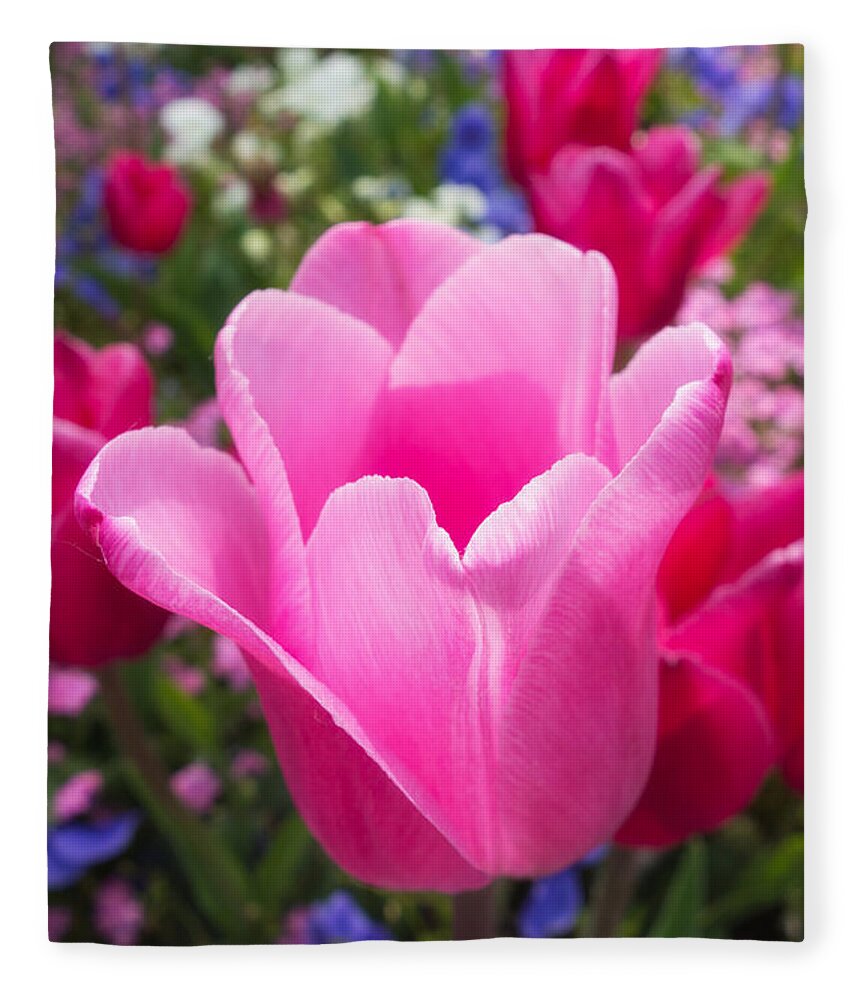 Tulip Fleece Blanket featuring the photograph Pretty pink tulip and field with flowers and tulips by Matthias Hauser