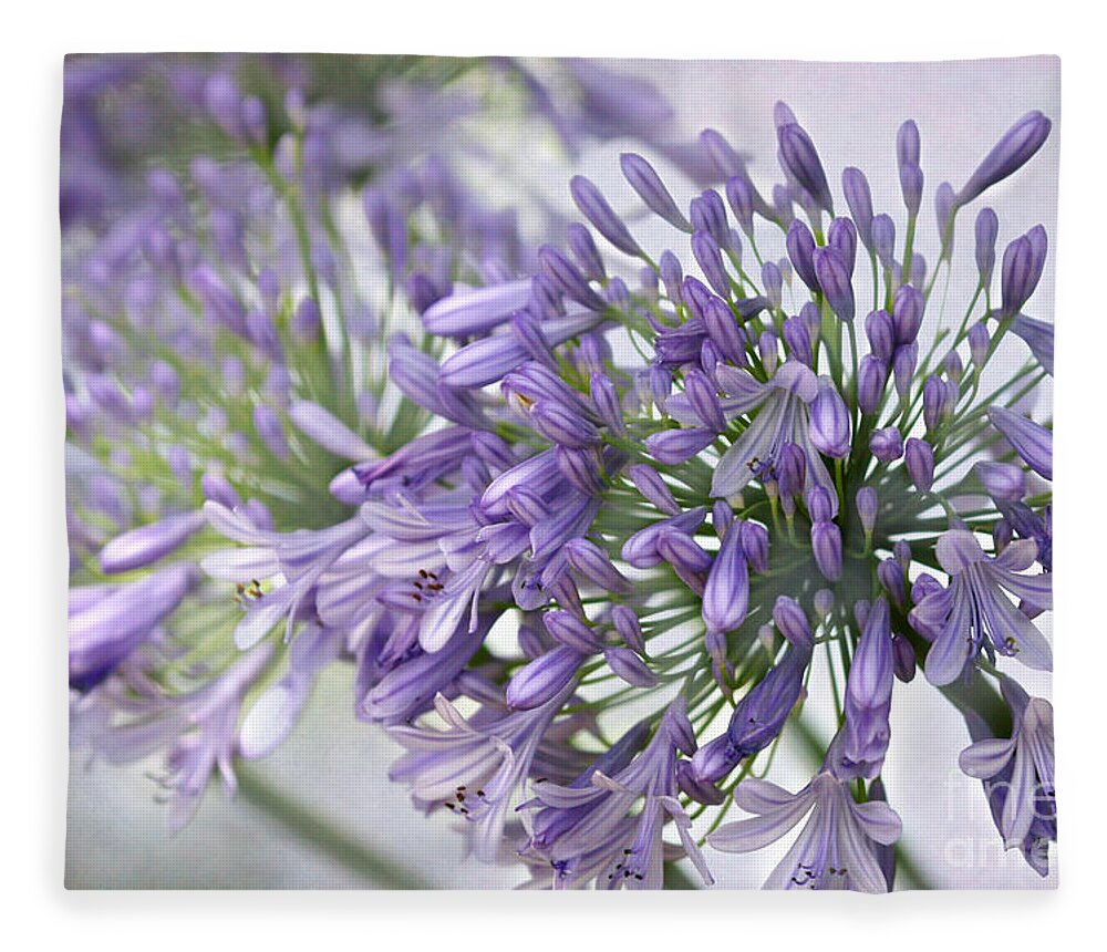Agapatha Fleece Blanket featuring the photograph Pretty Purple Lily of the Nile by Sabrina L Ryan