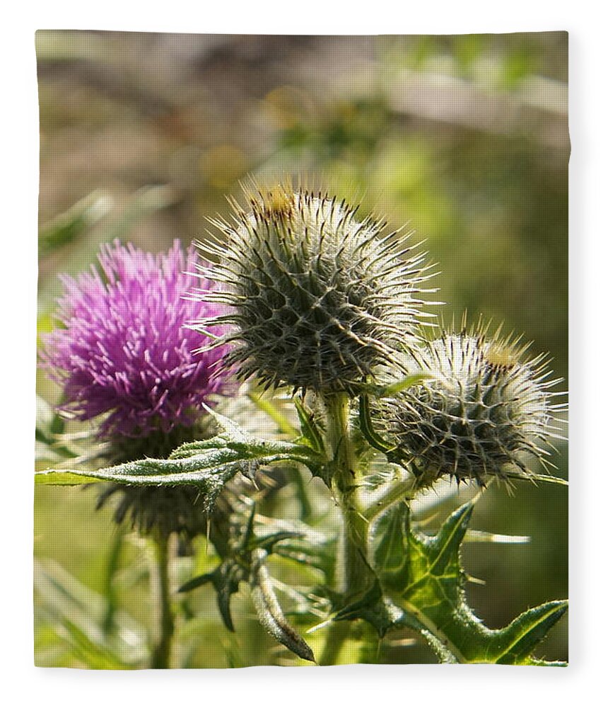 Thistle Fleece Blanket featuring the photograph Prickly youth by Elena Perelman