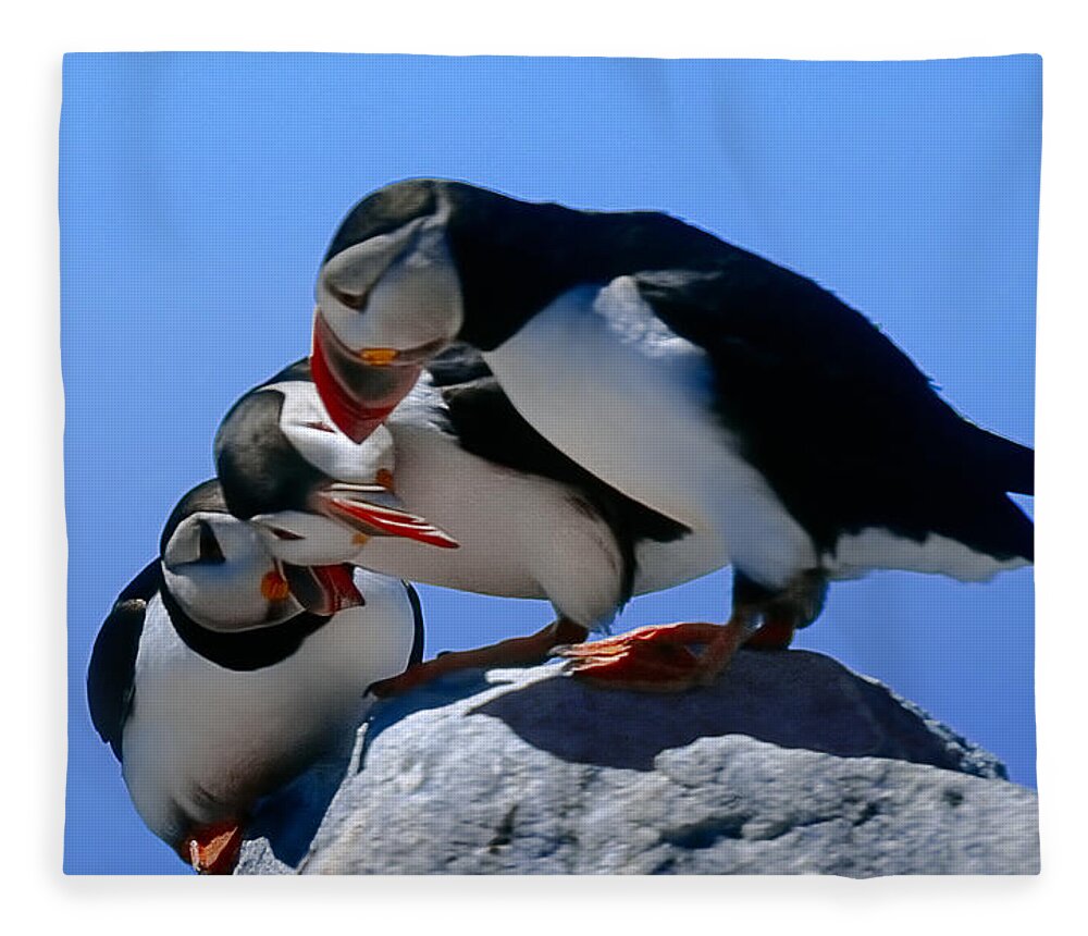 Puffins Fleece Blanket featuring the photograph Puffins Discussin by Marty Saccone