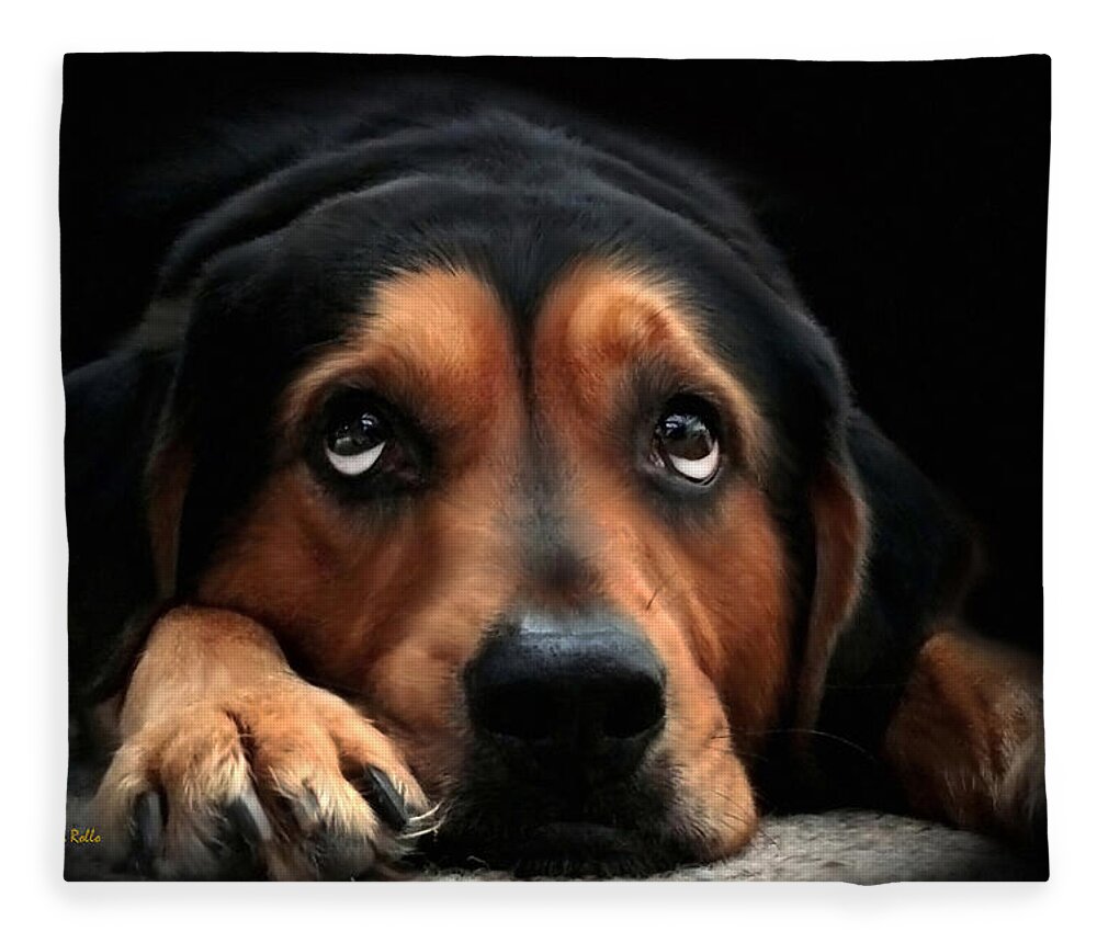 Dog Fleece Blanket featuring the mixed media Puppy Dog Eyes by Christina Rollo