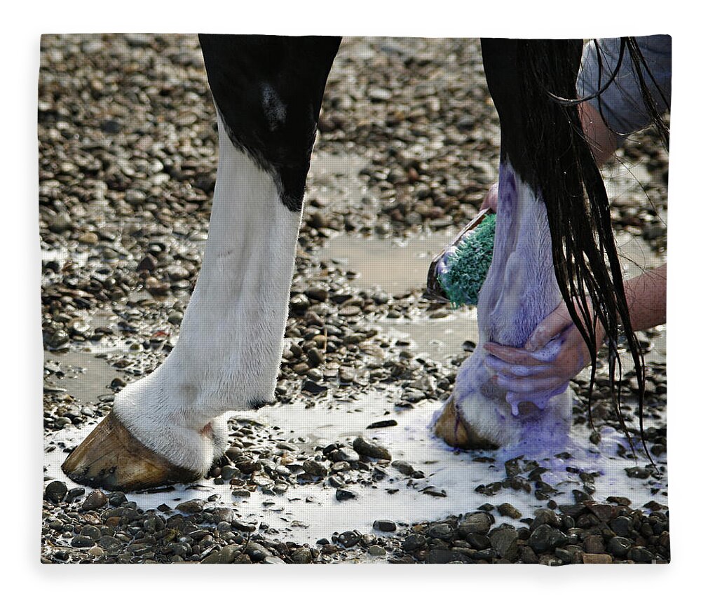 Horse Fleece Blanket featuring the photograph Purple and Green equals White by Carol Lynn Coronios