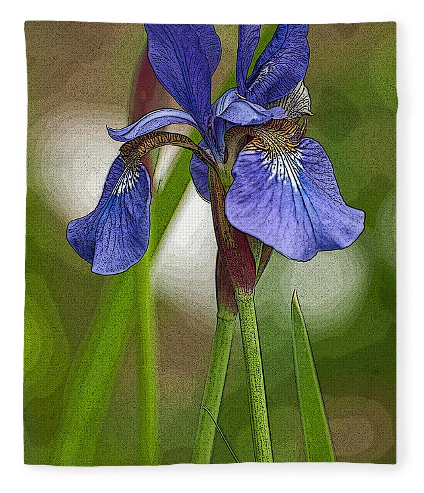 Bearded Iris Fleece Blanket featuring the photograph Purple Bearded Iris Watercolor with Pen by Brenda Jacobs