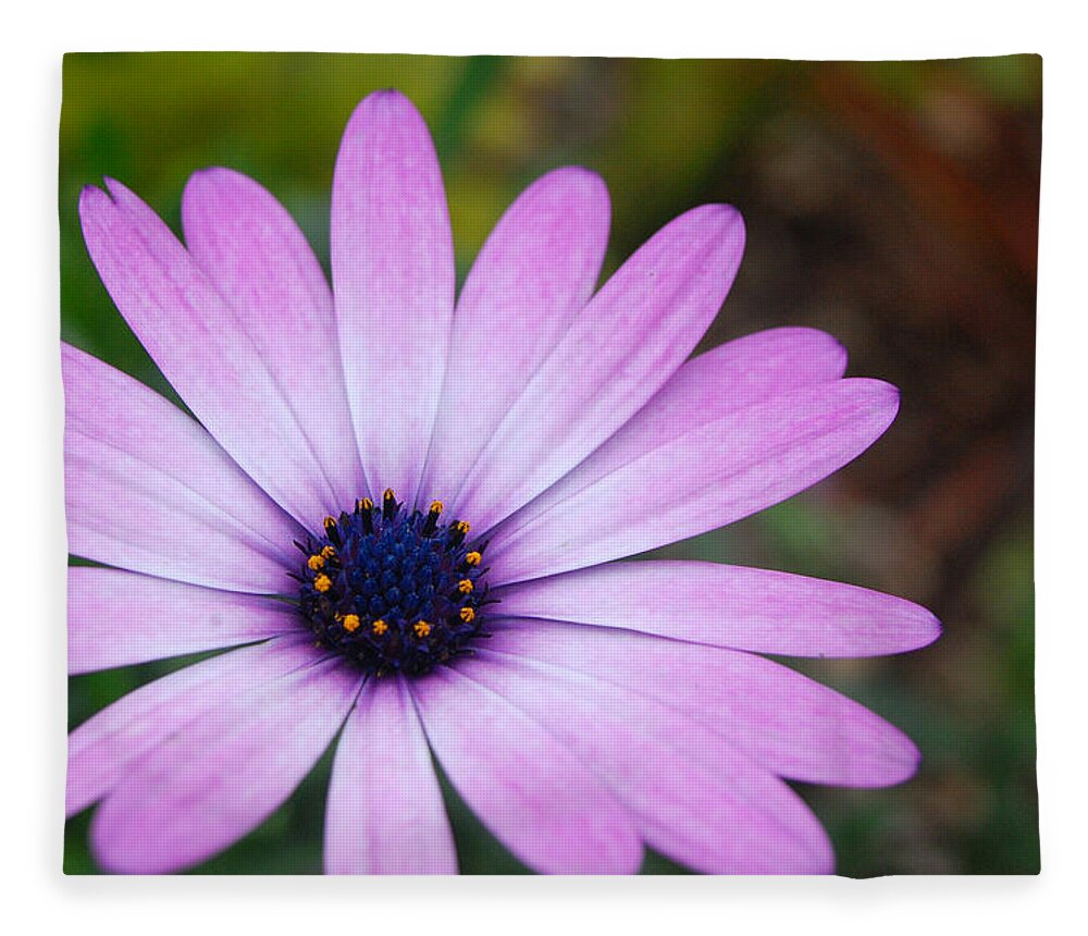 Flower Fleece Blanket featuring the photograph Purple Daisy by Amy Fose