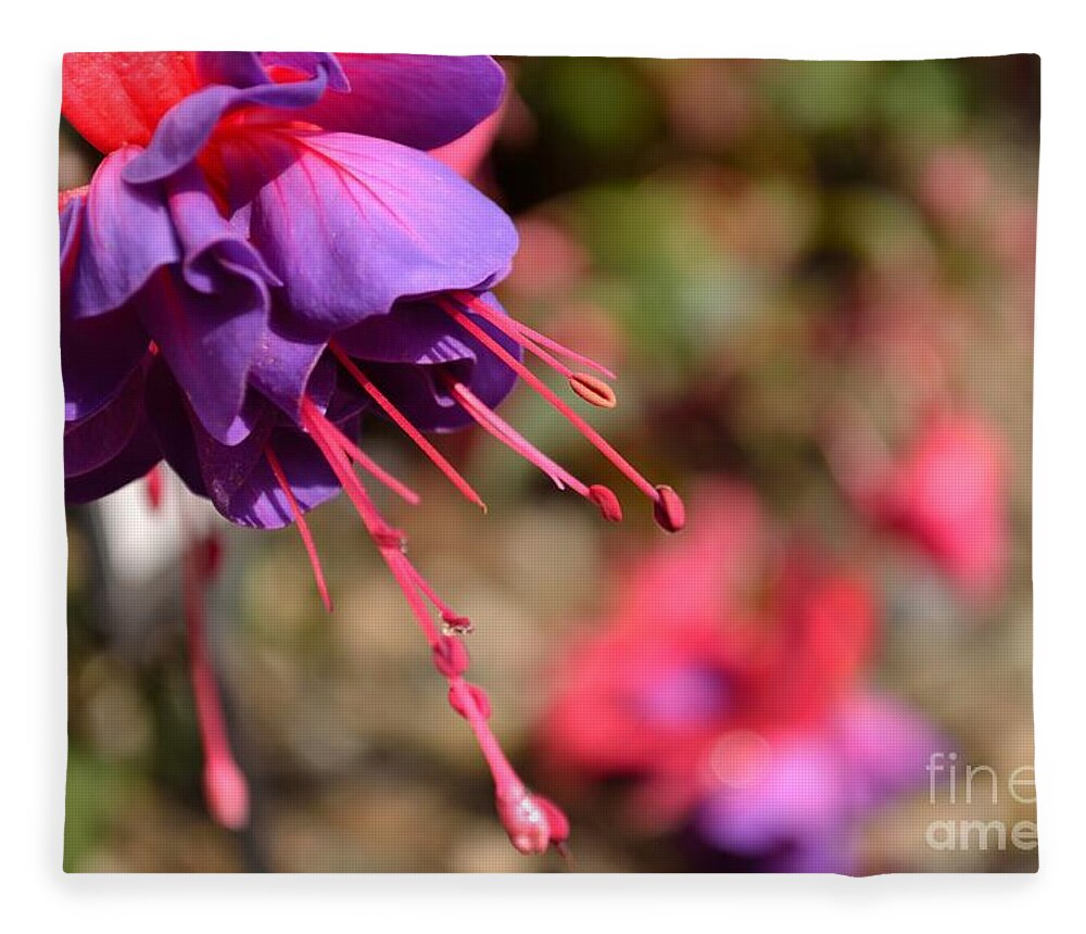 Lavender Fleece Blanket featuring the photograph Purple Fuchsia by Scott Lyons