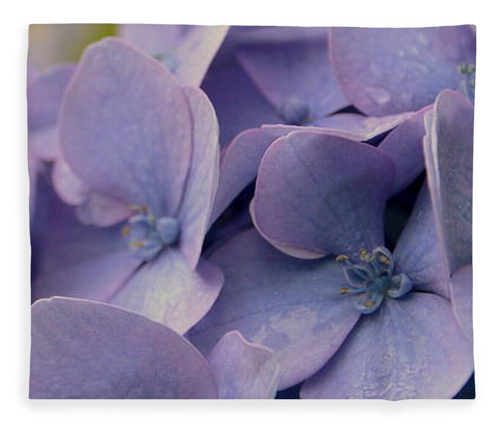 Flower Fleece Blanket featuring the photograph Purple Hydrangea by Amanda Mohler
