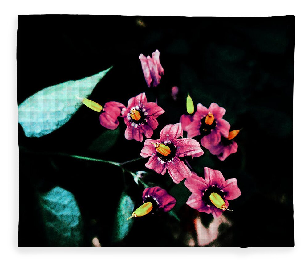 Flower Fleece Blanket featuring the photograph Quietly Blooming by Zinvolle Art