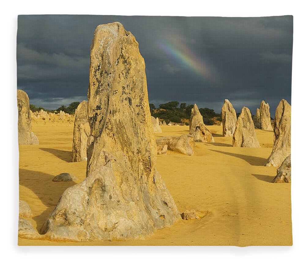 531565 Fleece Blanket featuring the photograph Rainbow And Limestone Pinnacles Nambung by Kevin Schafer