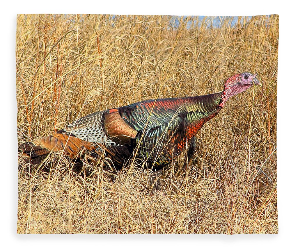 Turkey Fleece Blanket featuring the photograph Rainbow Turkey by Shane Bechler