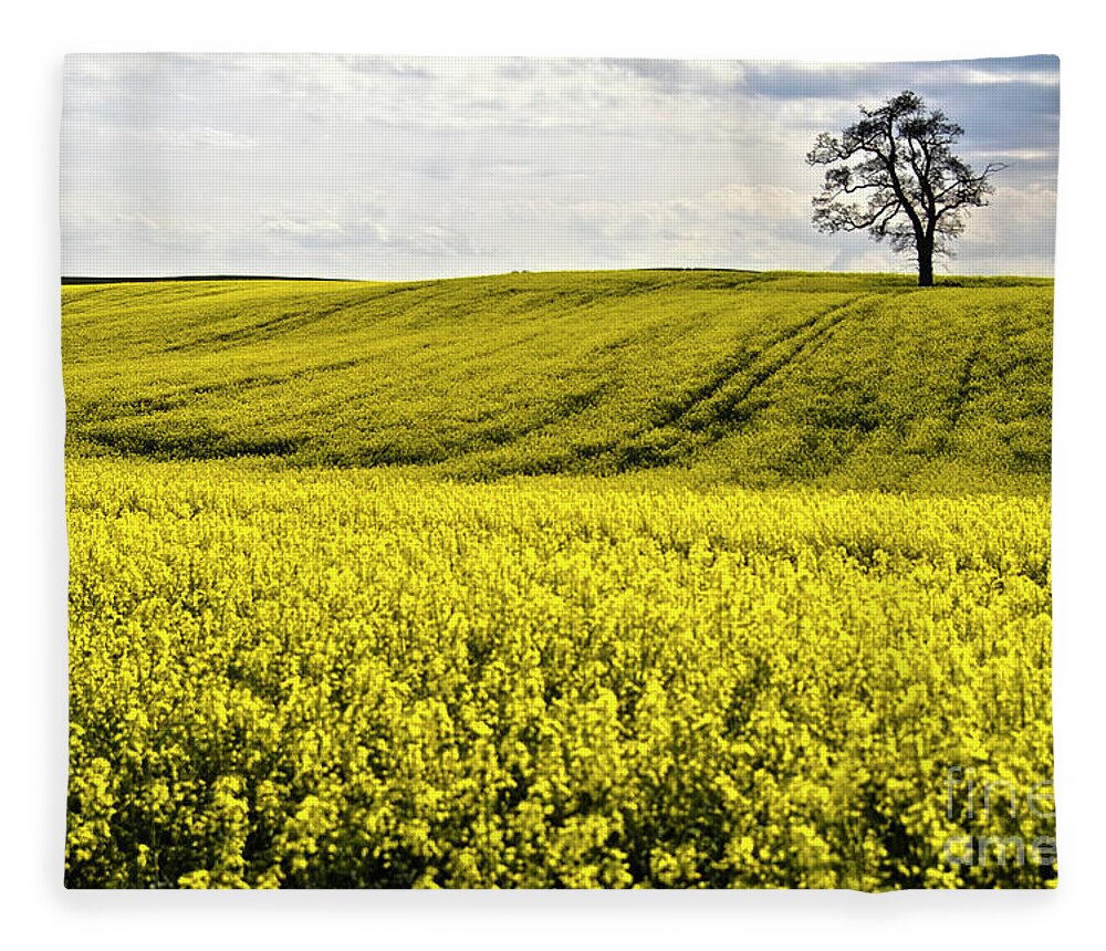 Heiko Fleece Blanket featuring the photograph Rape landscape with lonely tree by Heiko Koehrer-Wagner