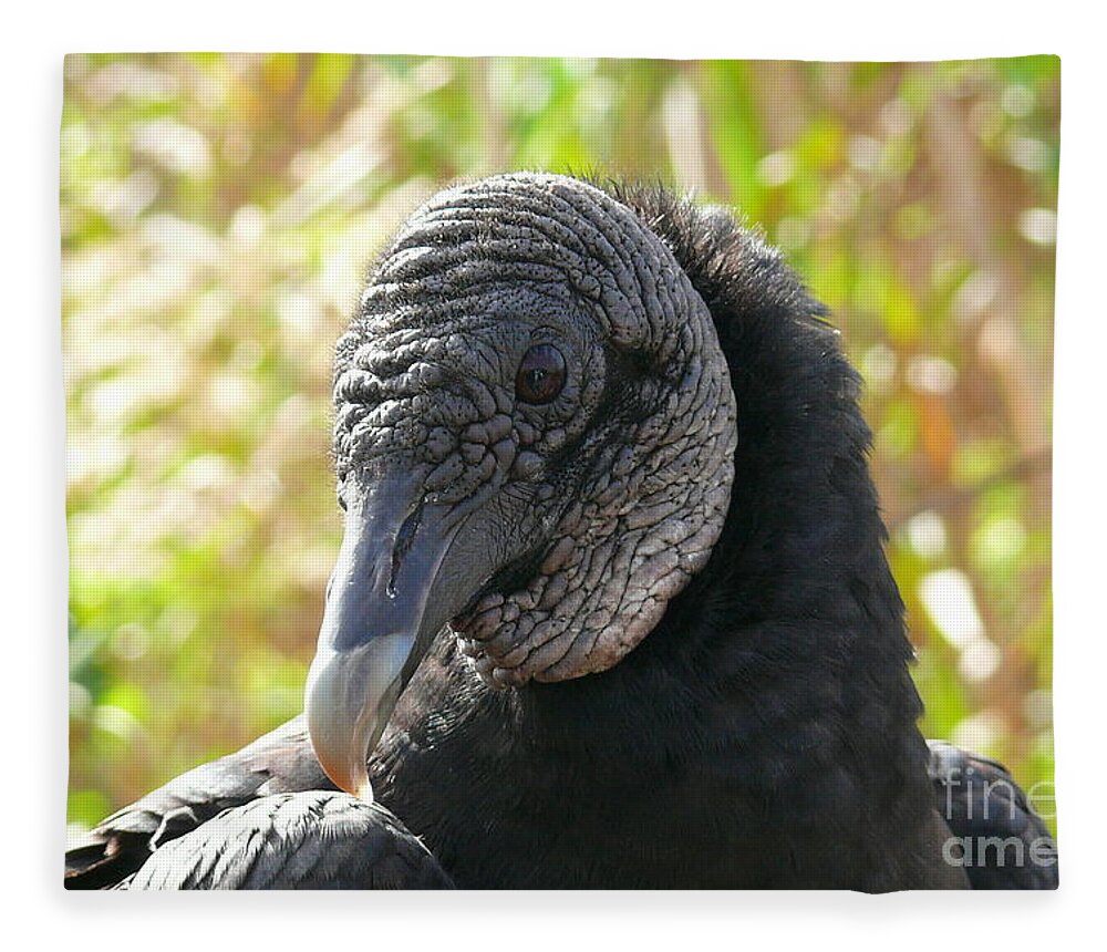 Wildlife Fleece Blanket featuring the photograph Raven-Vulture by Amanda Mohler