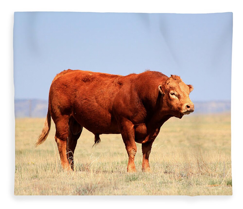 Red Bull Fleece Blanket featuring the photograph Red Bull by Shane Bechler