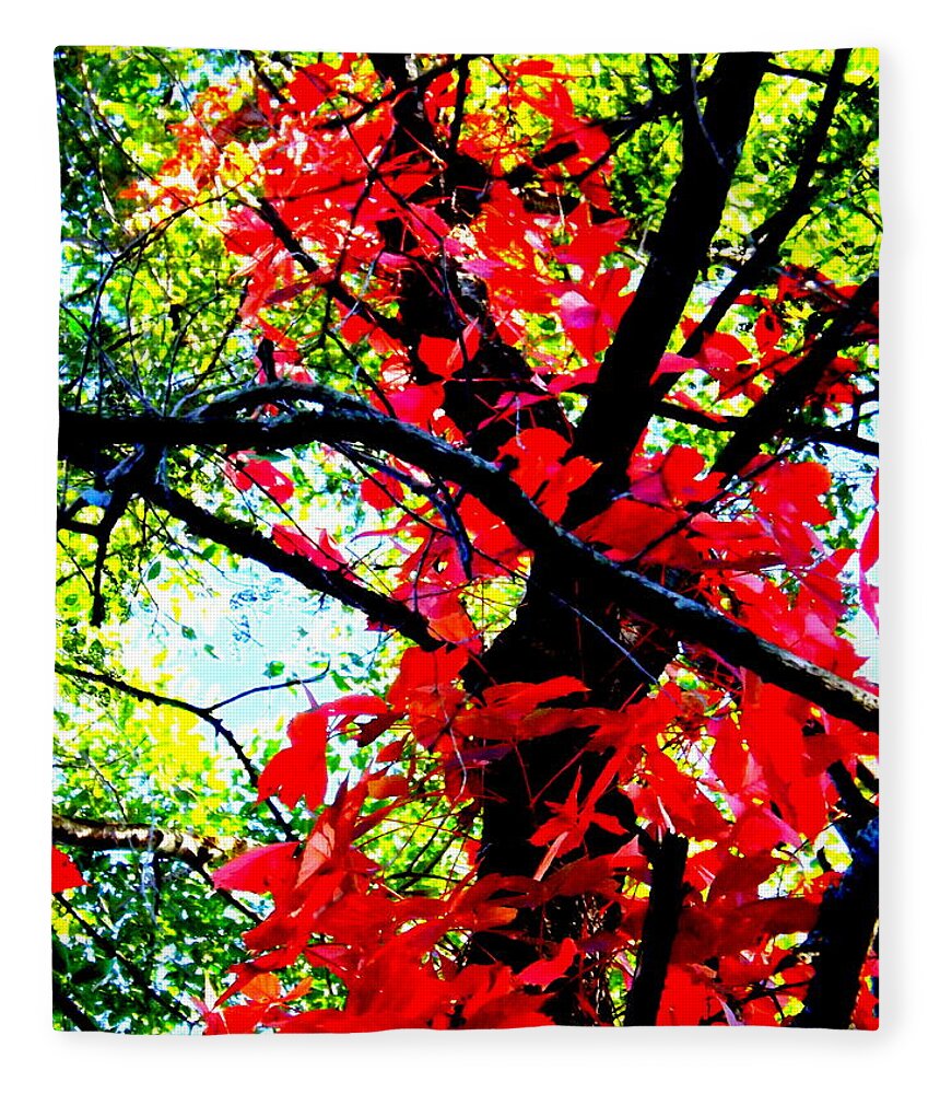 Red Creeper 2 Fleece Blanket featuring the photograph Red Creeper 2 by Darren Robinson