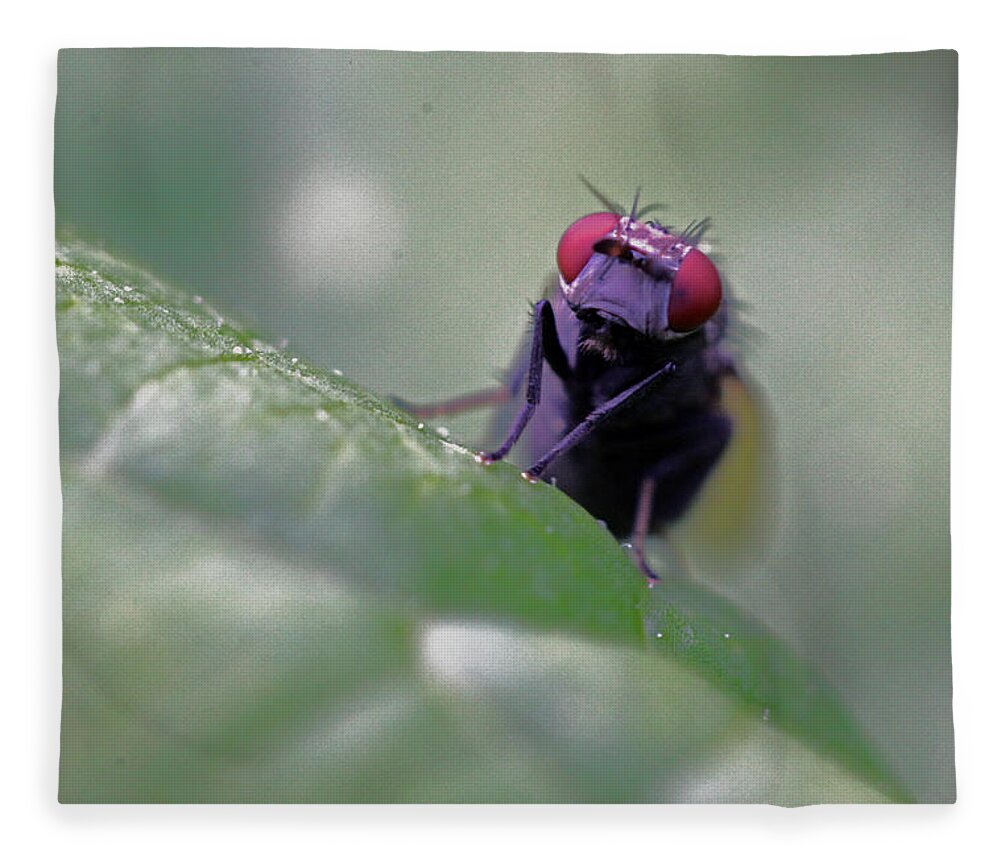 Insects Fleece Blanket featuring the photograph Red Eye by Jennifer Robin