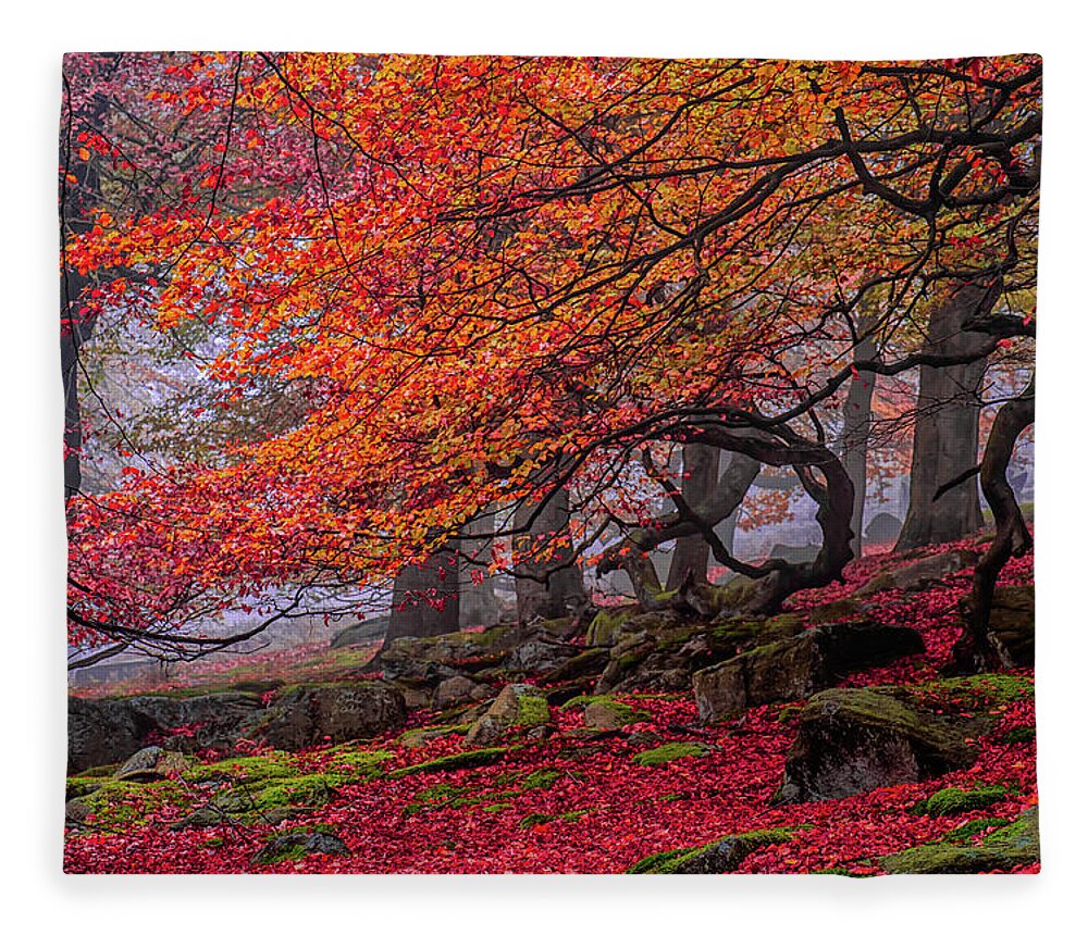 Tranquility Fleece Blanket featuring the photograph Red Forest Tree Landscape Autumn by Ben Robson Hull Photography