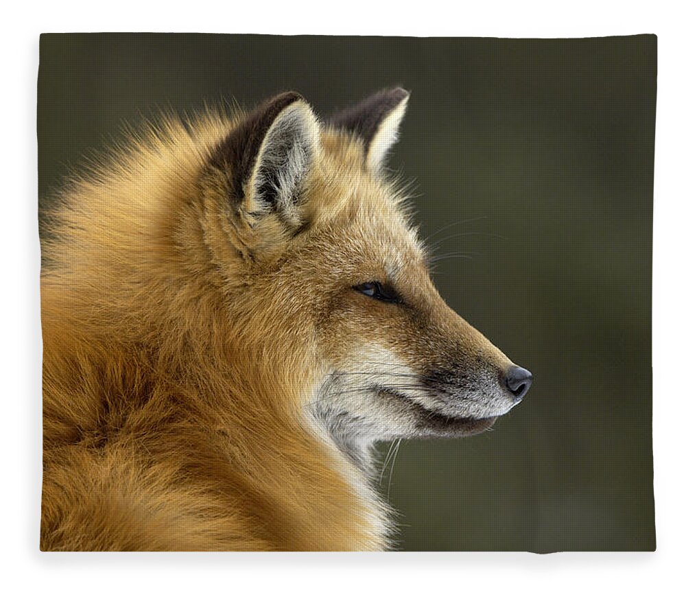 Flpa Fleece Blanket featuring the photograph Sly Red Fox by Malcolm Schuyl