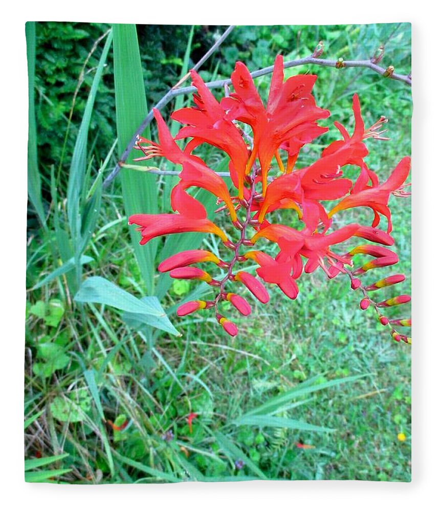 Red Flowers Fleece Blanket featuring the photograph Red Gift by Kendall Kessler