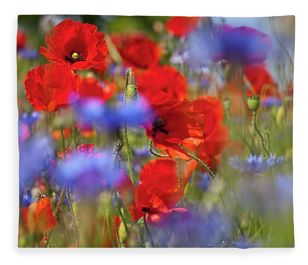 Poppy Fleece Blanket featuring the photograph Red Poppies in the Maedow by Heiko Koehrer-Wagner