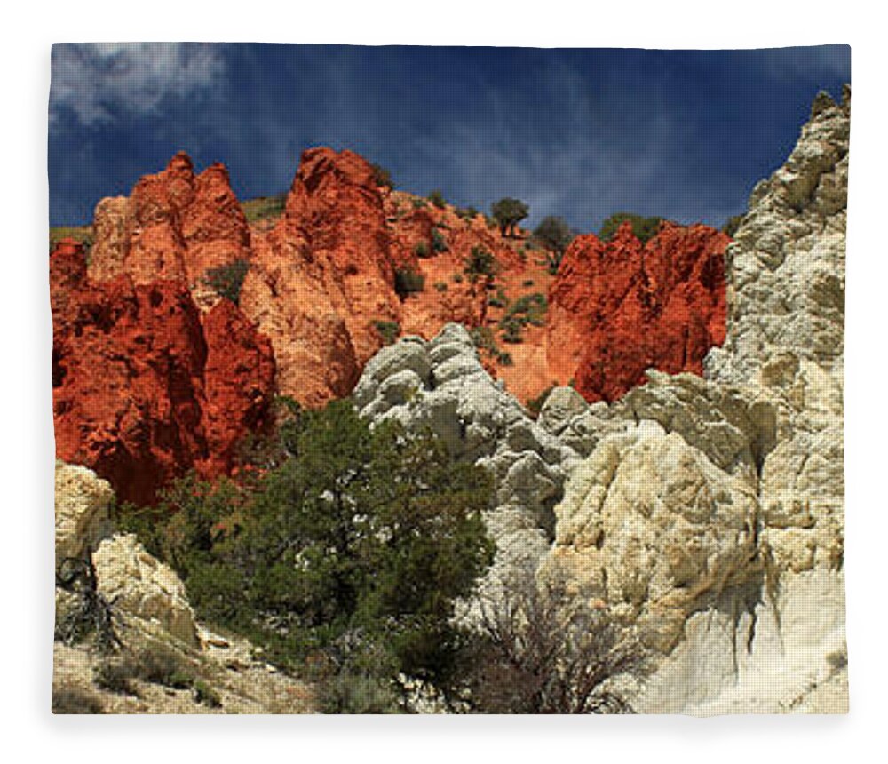 Landscape Fleece Blanket featuring the photograph Red Rock Canyon by James Eddy
