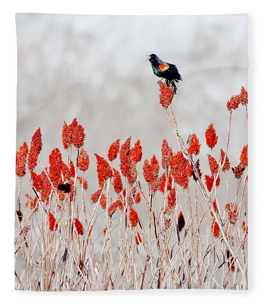 Dunns Marsh Fleece Blanket featuring the photograph Red Winged Blackbird On Sumac by Steven Ralser