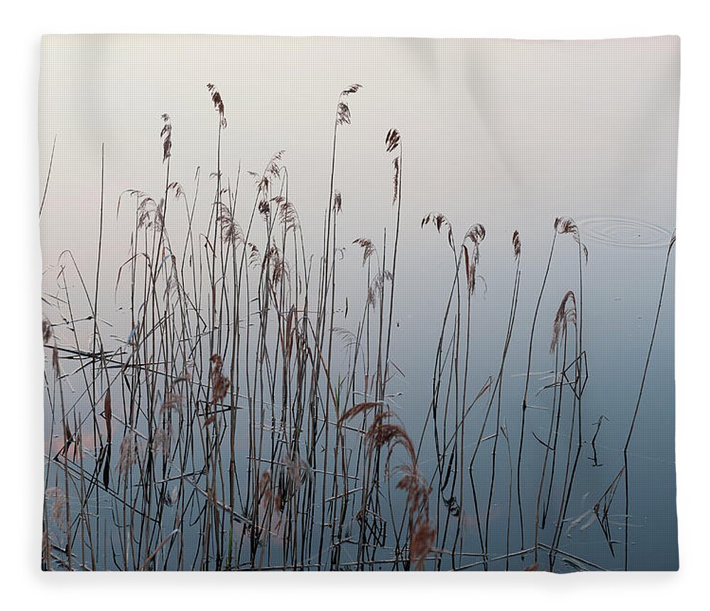Tranquility Fleece Blanket featuring the photograph Reed by Franz Aberham