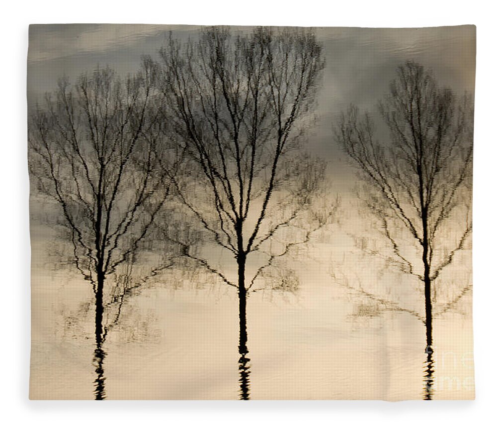 Landscape Fleece Blanket featuring the photograph Reflections in grey II by Adriana Zoon