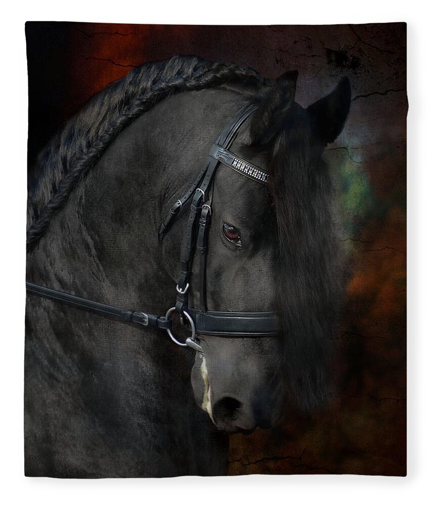 Horses Fleece Blanket featuring the photograph Rembrandt by Fran J Scott