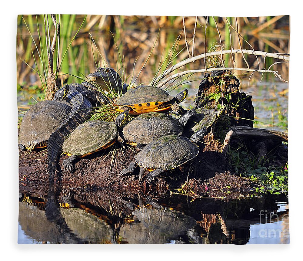 Turtle Fleece Blanket featuring the photograph Reptile Refuge by Al Powell Photography USA