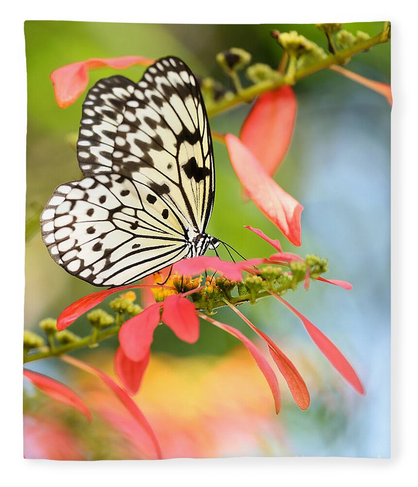 Macro Fleece Blanket featuring the photograph Rice Paper Butterfly in the Garden by Sabrina L Ryan
