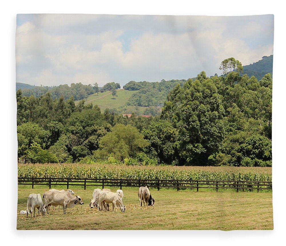 Scenics Fleece Blanket featuring the photograph Rio Grande Do Sul - Agriculture And by Lelia Valduga