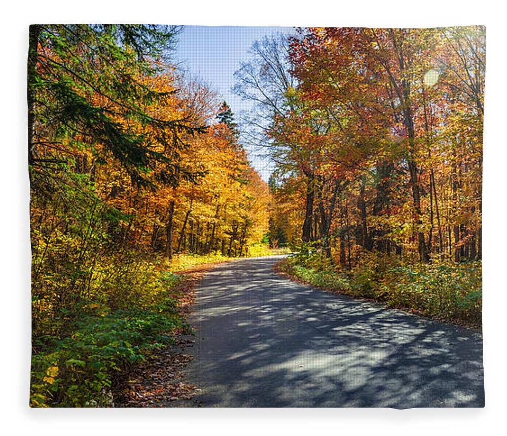 Road Fleece Blanket featuring the photograph Road through fall forest by Elena Elisseeva