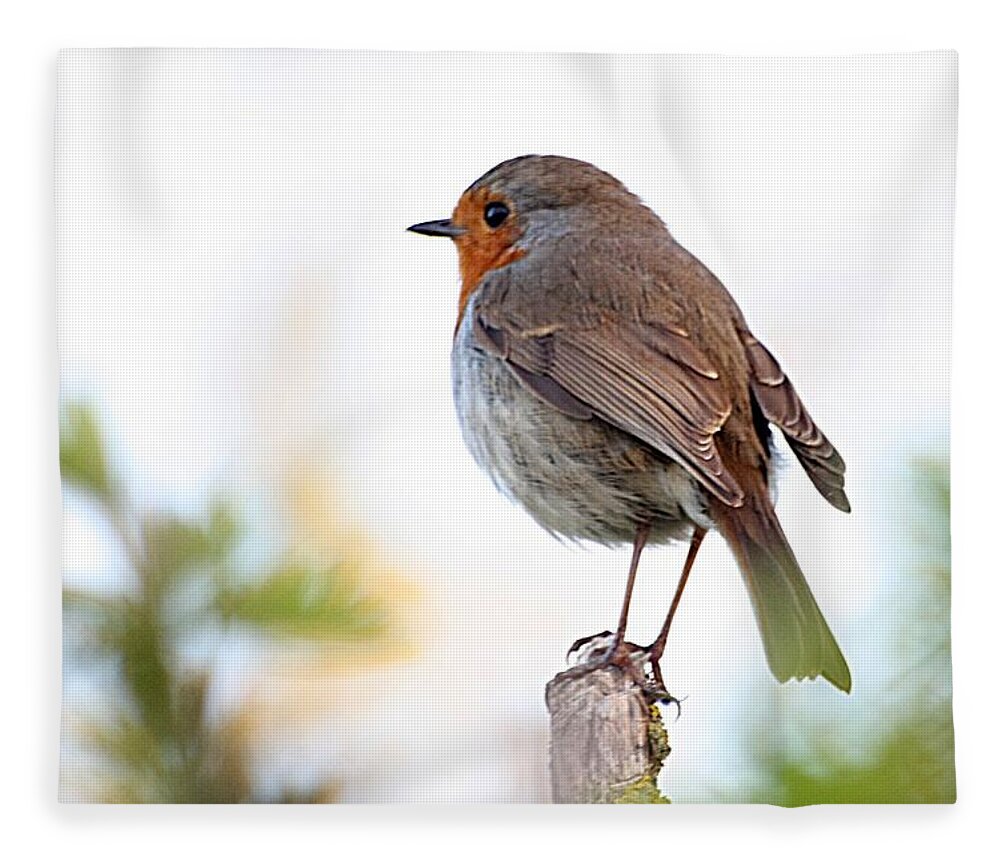 Canon Fleece Blanket featuring the photograph Robin on a Pole by Jeremy Hayden