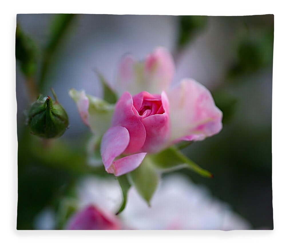 Rose Fleece Blanket featuring the photograph Rose Emergent by Rona Black