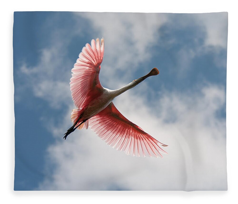 Roseate Fleece Blanket featuring the photograph Roseate Soaring by Paul Rebmann