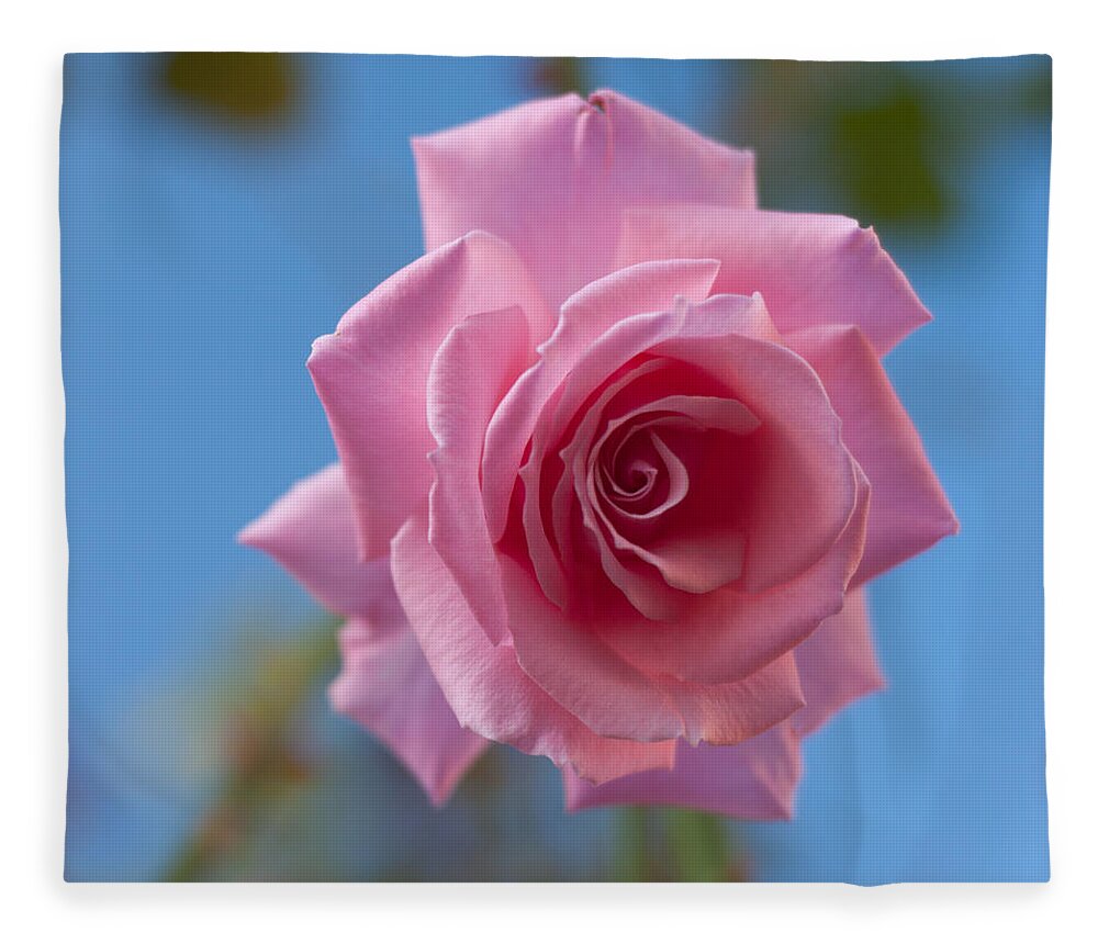Flowers Fleece Blanket featuring the photograph Roses in the Sky by Miguel Winterpacht