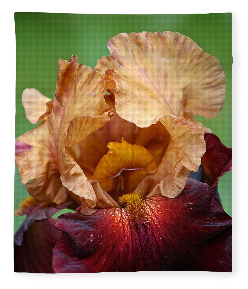 Flower Fleece Blanket featuring the photograph Royal Red Carpet by Susan Herber